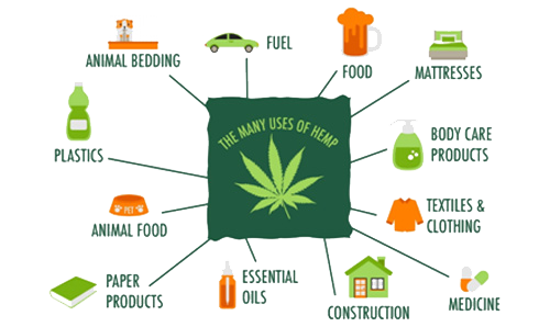 uses of hemp