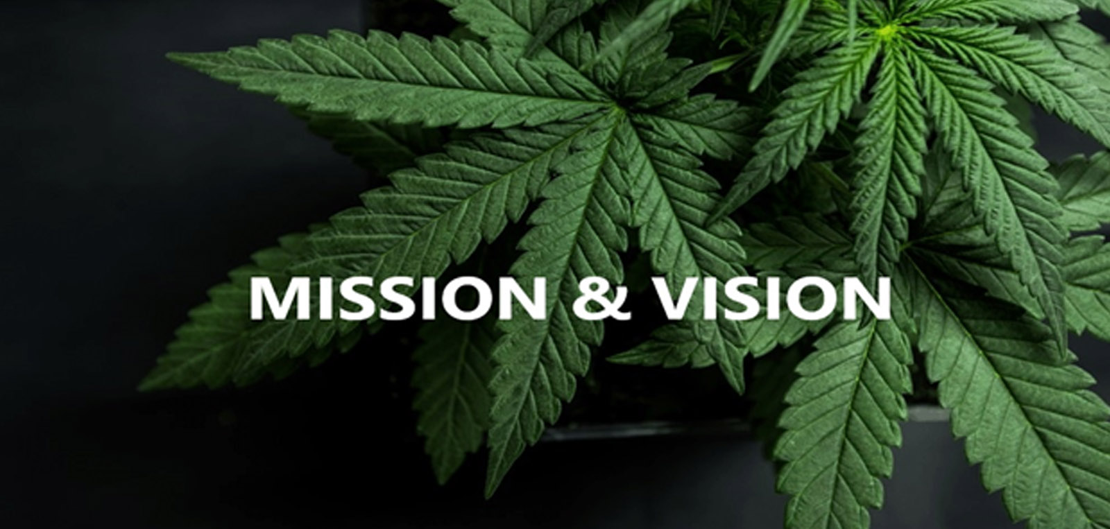 hemp health benefits