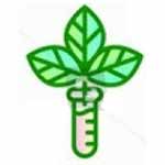 Buy Hemp Products Online