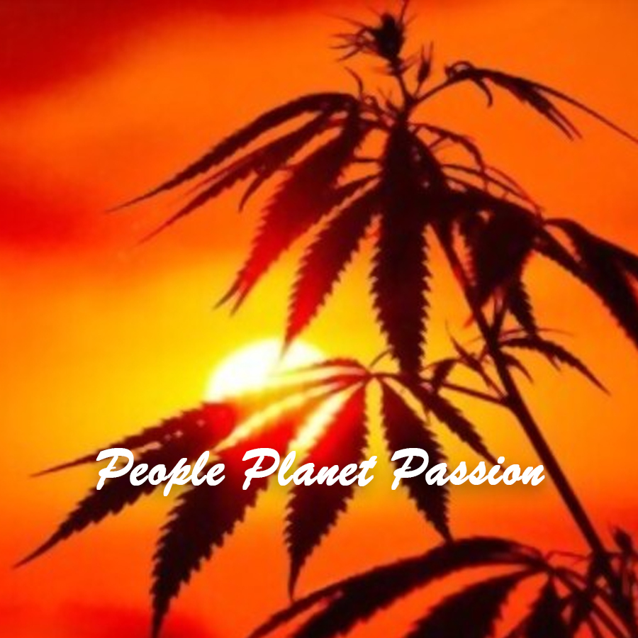 hemp for health by indus hemp